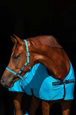 Online horseware Amigo Jersey Cooler