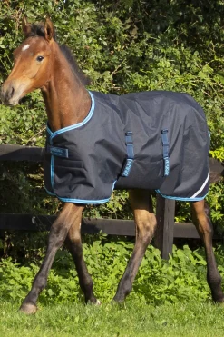 Sale horseware Amigo Ripstop følldekken, 50 gram Navy/ElectricBlue