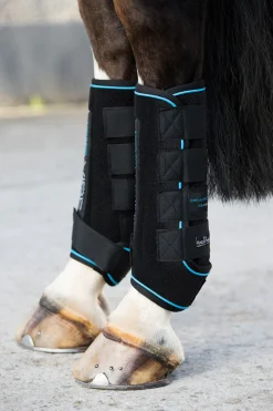 horseware Ice-Vibe belegg Black/AquaBlue