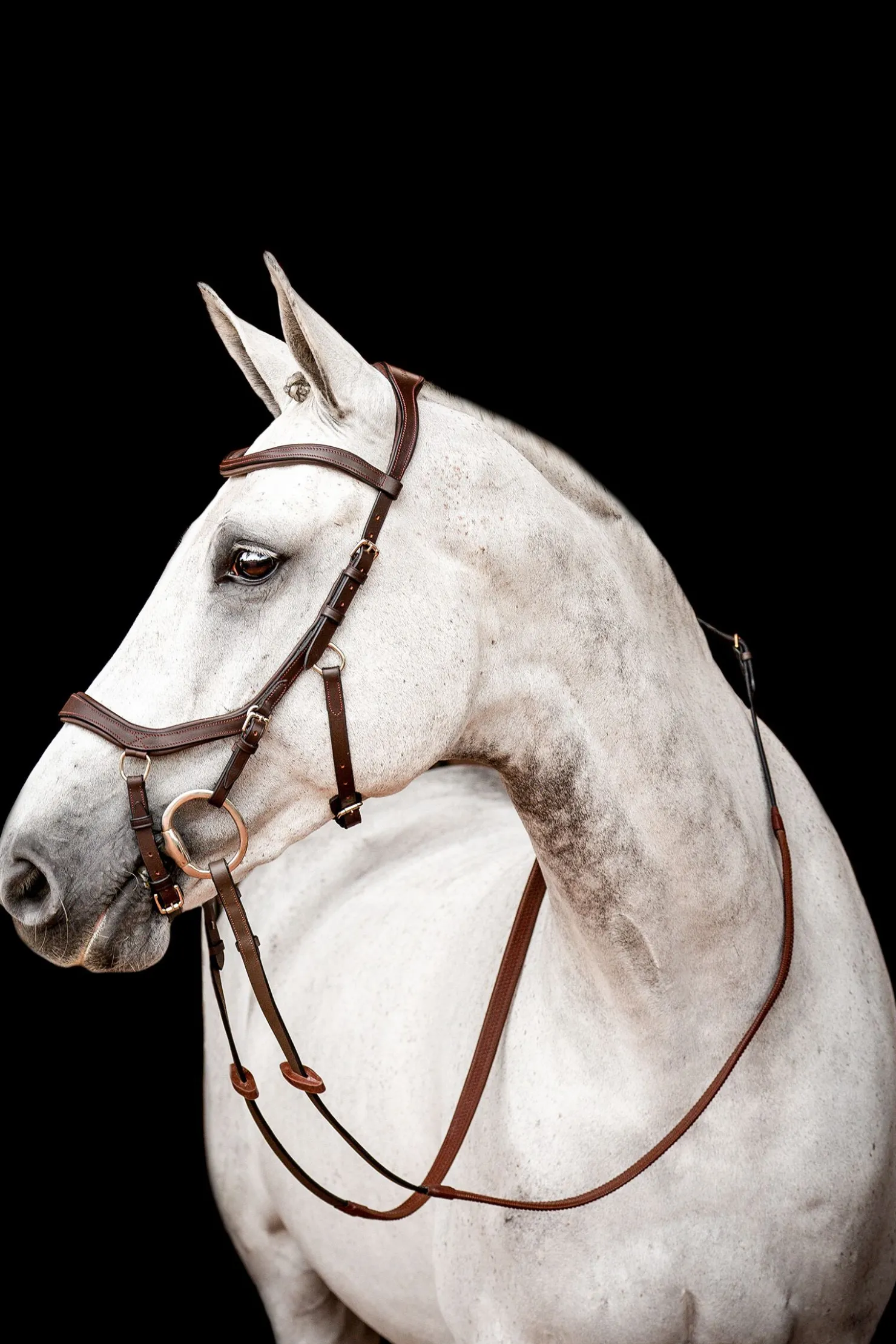 Online horseware Micklem 2 Competition hodelag DarkBrown