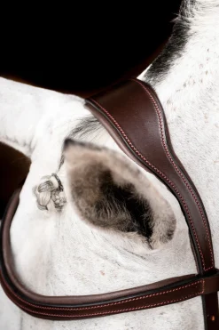 Online horseware Micklem 2 Competition hodelag DarkBrown