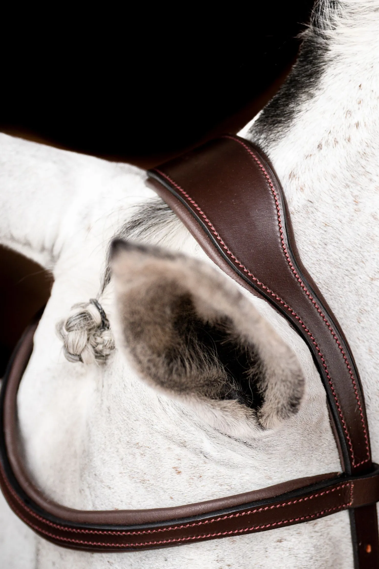 Online horseware Micklem 2 Competition hodelag DarkBrown