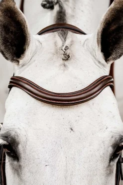 Online horseware Micklem 2 Competition hodelag DarkBrown