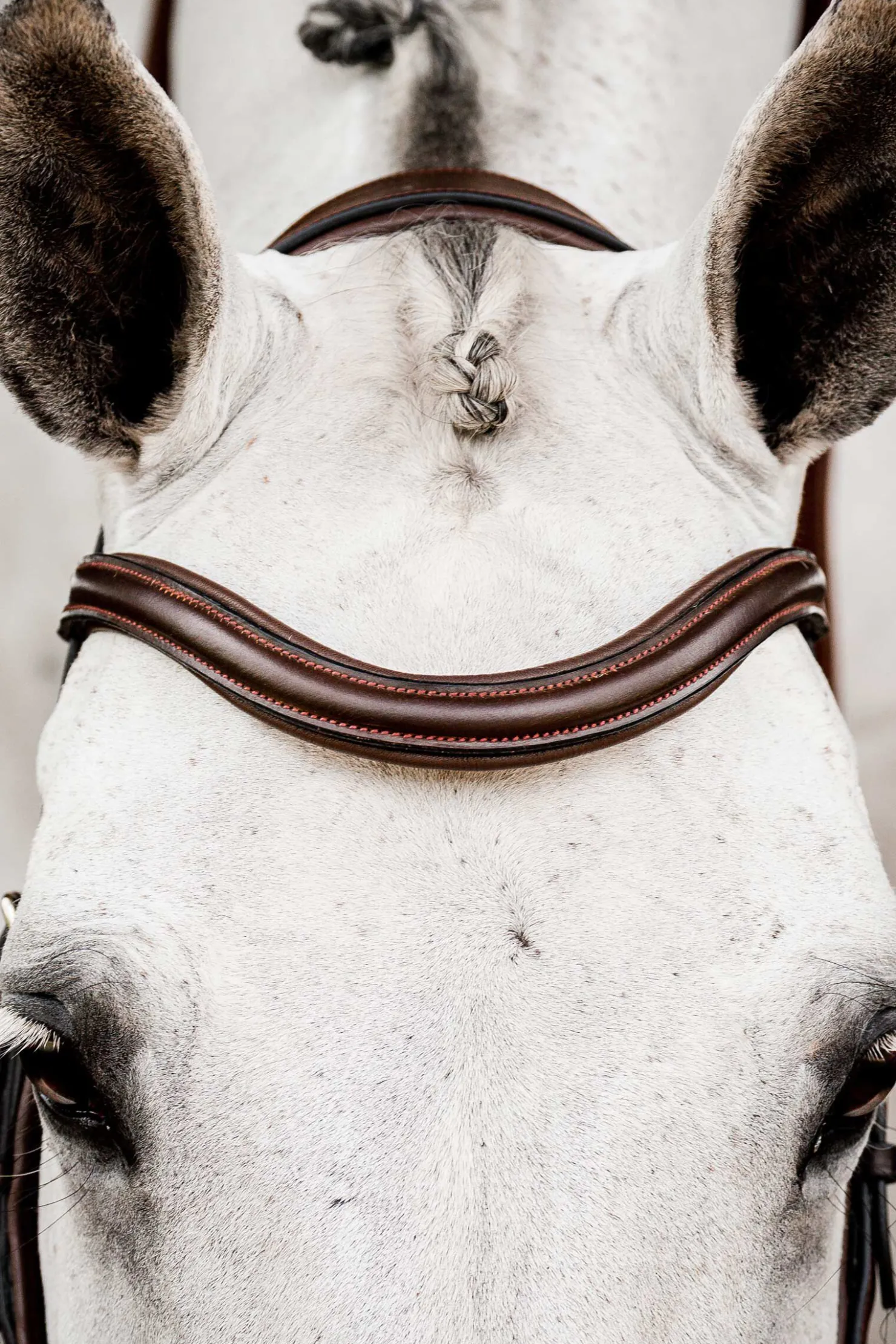 Online horseware Micklem 2 Competition hodelag DarkBrown