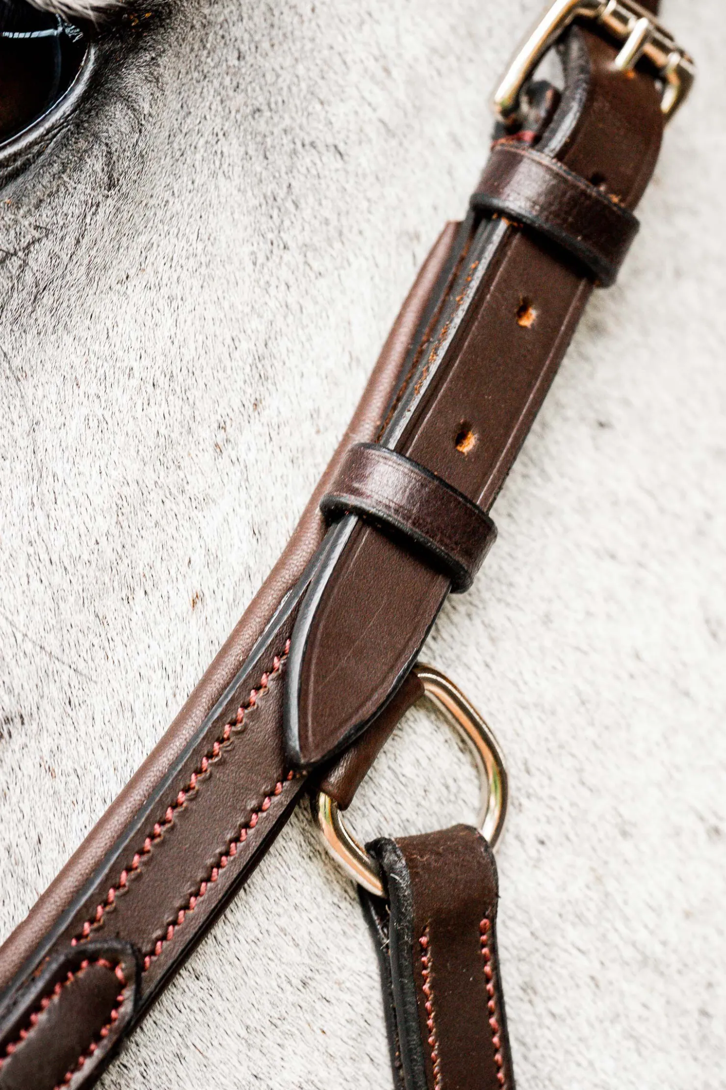 Online horseware Micklem 2 Competition hodelag DarkBrown