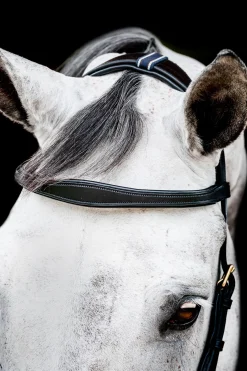 horseware Micklem 2 Multi Hodelag Black