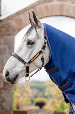 Online horseware Rambo Optimo Plus Budle Beitedekken (med 200g Liner) Navy/Burg,Teal&Nvy