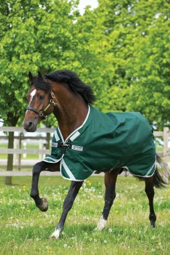 Sale horseware Rambo Original utedekken med beinbuer, 0 gram Green/Silver