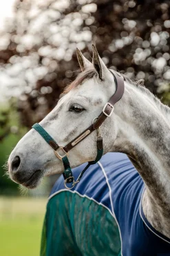 Discount horseware Signature flettet grime Brown/Navy&HunterGreen