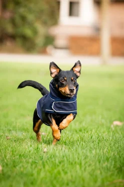 horseware Signature Hunderegnfrakk Navy