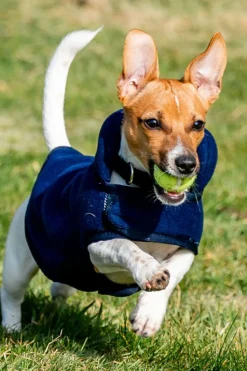 Sale horseware Signature Hundefleece-teppe Navy