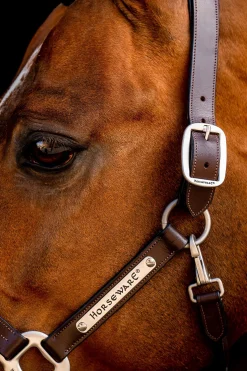 Discount horseware Signature-grime i lær Brown