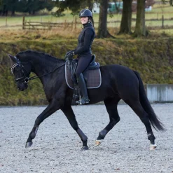 Outlet horze Adepto allround sjabrak DarkBrown