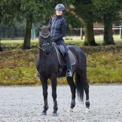 Outlet horze Adepto allround sjabrak DarkBrown