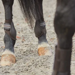 Clearance horze Adepto bakbeinsbelegg DarkBrown