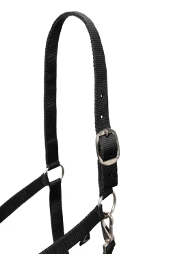 Hot horze Basic grime og leietau med panikkrok Black