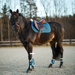 Sale horze Caliber bakbeinsbelegg med teddyfôr LegionBlue