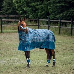 Sale horze Caliber bakbeinsbelegg med teddyfôr LegionBlue