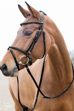 New horze Constance polstret hodelag med flash-nesereim Black