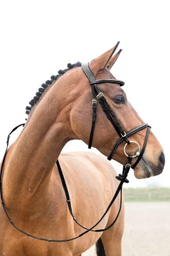 New horze Constance polstret hodelag med flash-nesereim Black