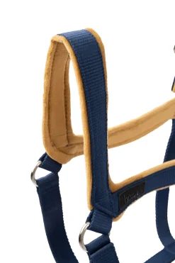 Hot horze Delémont grime Deepseablue