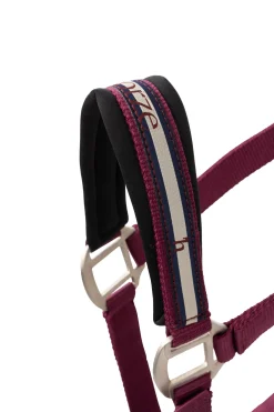 Clearance horze Eternal Gaze Grimesett PurplePotion