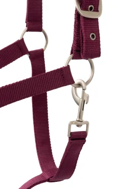 Clearance horze Eternal Gaze Grimesett PurplePotion