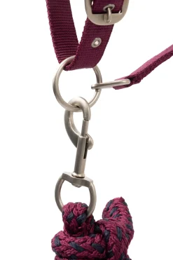 Clearance horze Eternal Gaze Grimesett PurplePotion