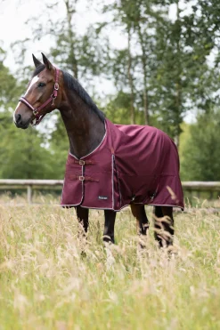 Sale horze Glasgow regndekken, 0 gram Burgundybrown