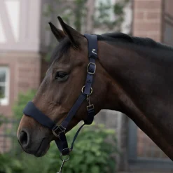 Hot horze Graz grime PeacoatDarkBlue