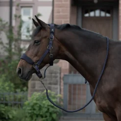 Hot horze Graz grime PeacoatDarkBlue