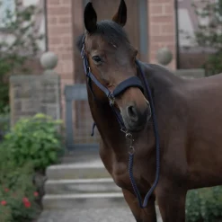 Hot horze Graz grime PeacoatDarkBlue