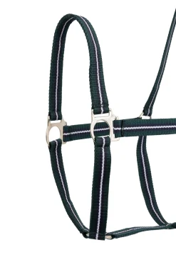 Online horze Halter (Set of 3 pcs) Green