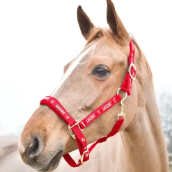 Sale horze Hamptons grime Red