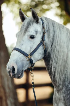 Outlet horze Houston grime CharcoalGrey