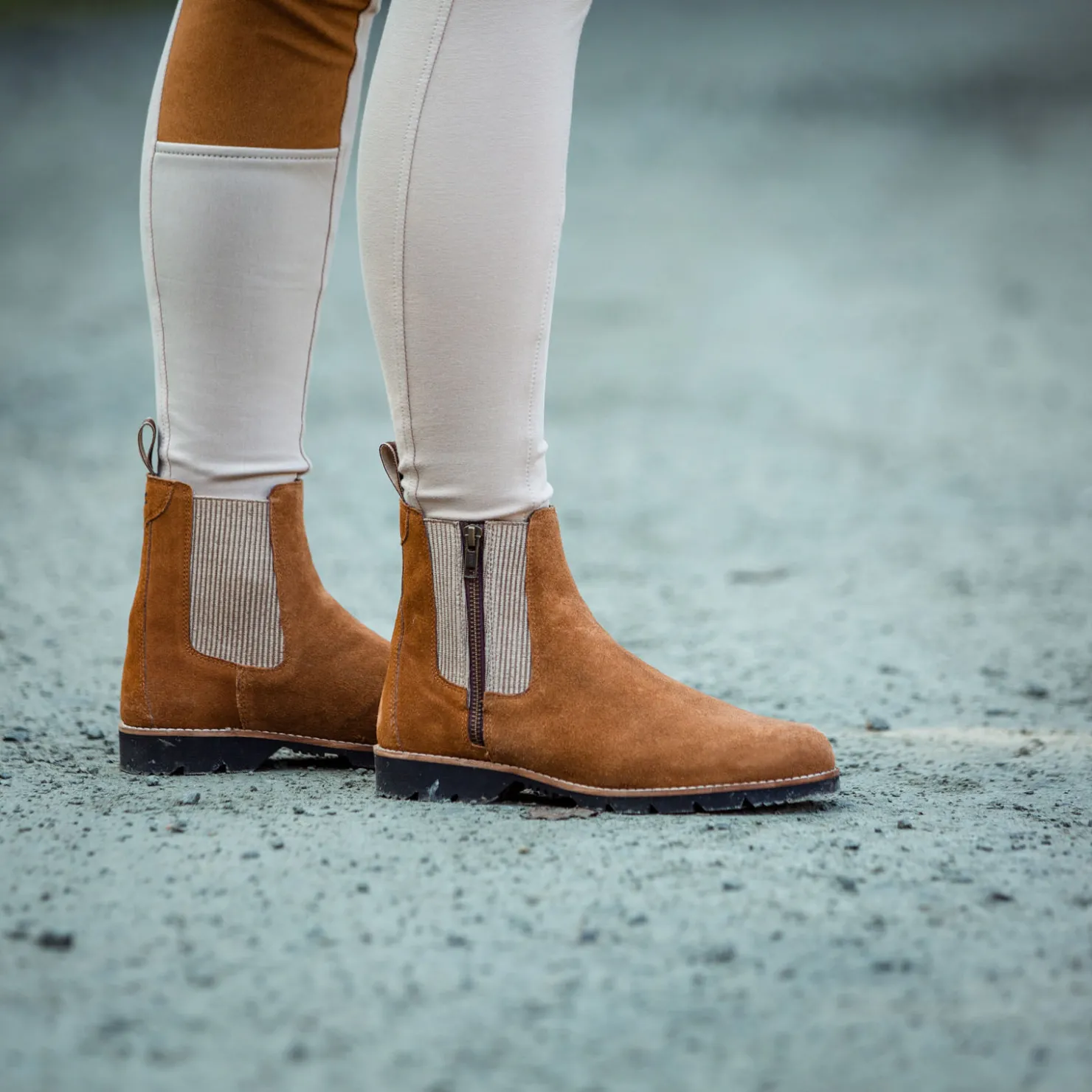 Sale horze Kensington semsket jodhpursko, dame LightBrown