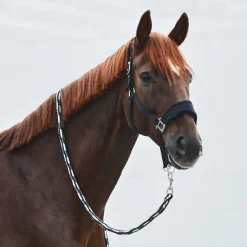 Sale horze Kiel leietau Black/Gray