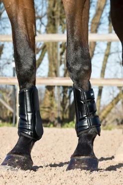 Sale horze Laval belegg Black