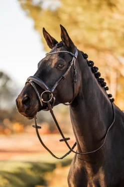 Clearance horze Lockhart anatomisk hodelag Black