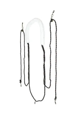 Online horze longesystem Ikkespesifisert