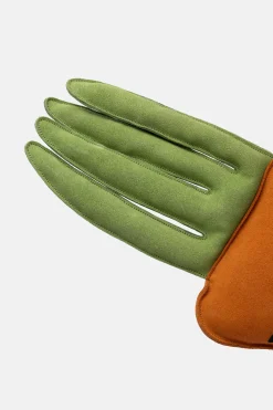 New horze lærhesteleke Carrot