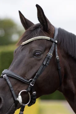 Discount horze Nature made leisure pannebånd Black