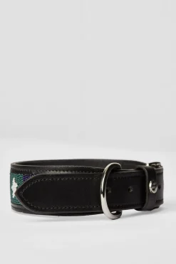 Best horze Noir halsbånd til hund, med stjerner Black/Stripe