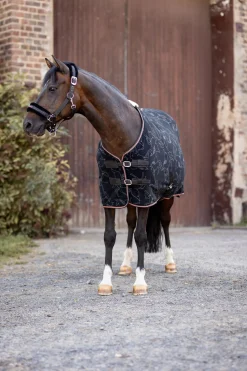 New horze Pegasus fleece Cooler-dekken til ponni Caviar