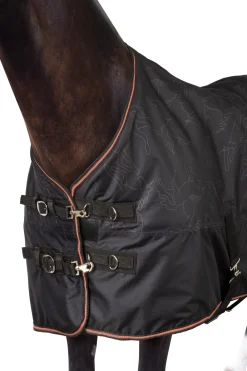 Sale horze Pegasus ponnidekken 200 g/m² Caviar