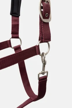 Sale horze Physical Sophistication grime, sett Burgundybrown