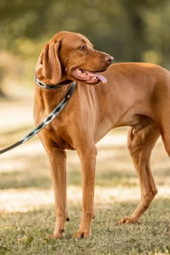 Hot horze Polo hundekobbel BeetleGreen/VaporGrey