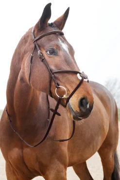 horze Prescott hodelag med kryssnesereim Brown