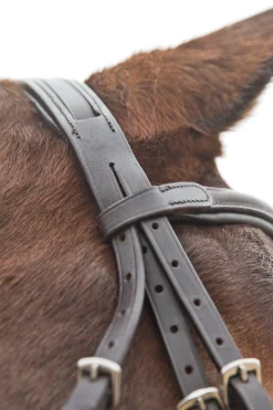 horze Prescott hodelag med kryssnesereim Brown