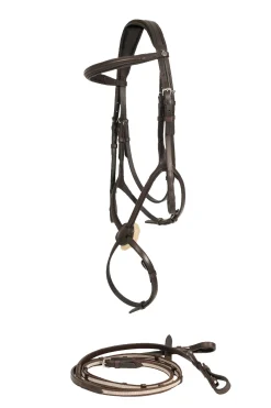 horze Prescott hodelag med kryssnesereim Brown